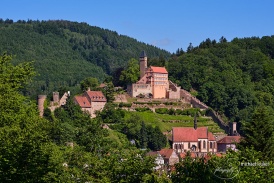 Burg Hirschhorn: Blick von der Südseite im Sommer