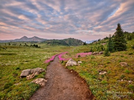 Canada_Banff_Nature_Michael_Leukel-15.jpg