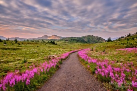 Kanada -Sunshine meadows - Morning - 1