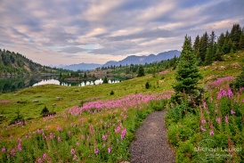 Kanada -Sunshine meadows - Morning - 2