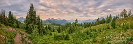 Banff - Sunshine meadows