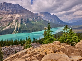 Kanada - Peyto Lake - 1