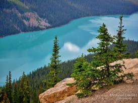 Kanada - Peyto Lake - 6