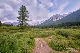 Kanada - Ink Pots - Landscape