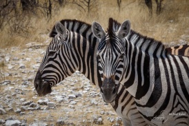 Namibia2017-15.jpg