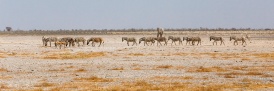 Namibia2017-18.jpg