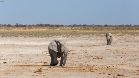 Namibia2017-32.jpg