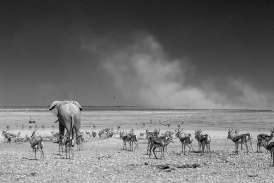 Namibia2017-36.jpg