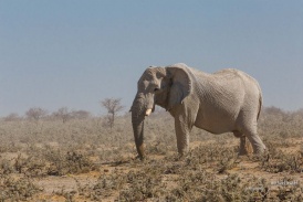 Namibia2017-37.jpg