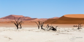 Namibia2017-84.jpg