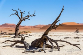 Namibia2017-85.jpg
