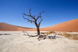 Namibia2017-86.jpg
