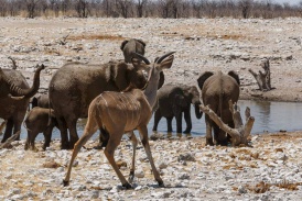 Namibia2017-9.jpg