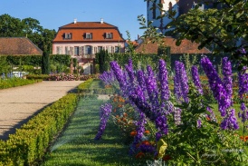 Prinz-Georg-Garten Darmstadt-3