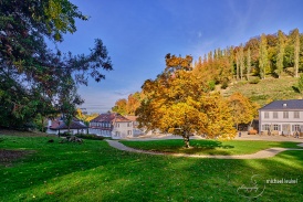 Staatspark Fürstenlager: Magnolienbaum im Herbst